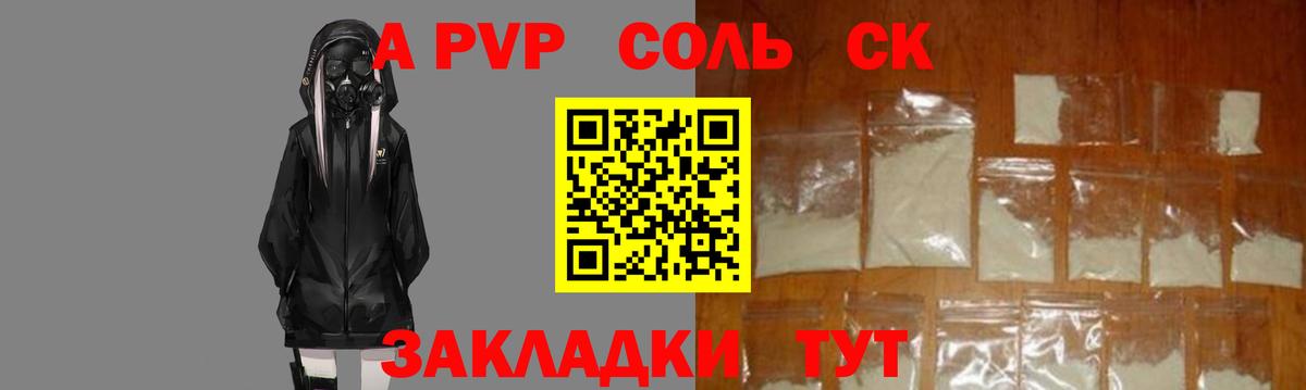 A PVP СК КРИС Пенза