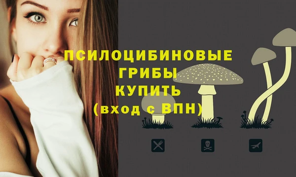 а пвп мука Алзамай