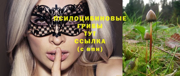 гидропоника Алексеевка