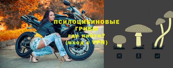 меф Алексин