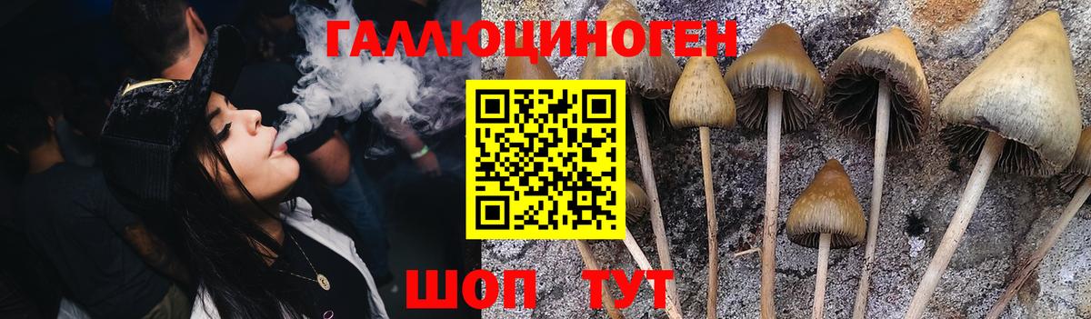 Галлюциногенные грибы Magic Shrooms  Вход с VPN  Пенза 