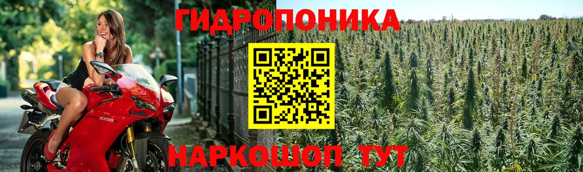 Пенза  МАРИХУАНА тримм  Вход с VPN  Каннабис марихуана  Каннабис сатива 